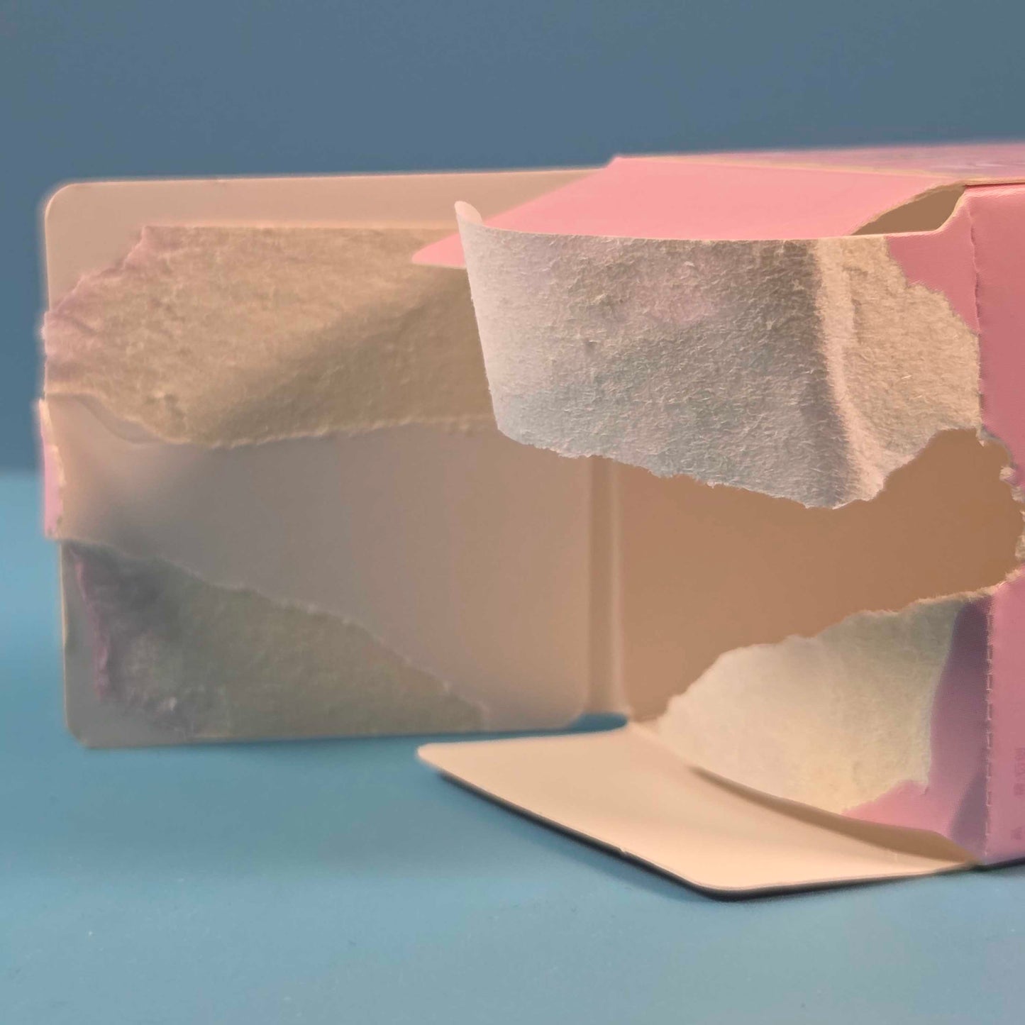 Lucky Emma Lili's Dress Up Diary - Whale (Translucent)