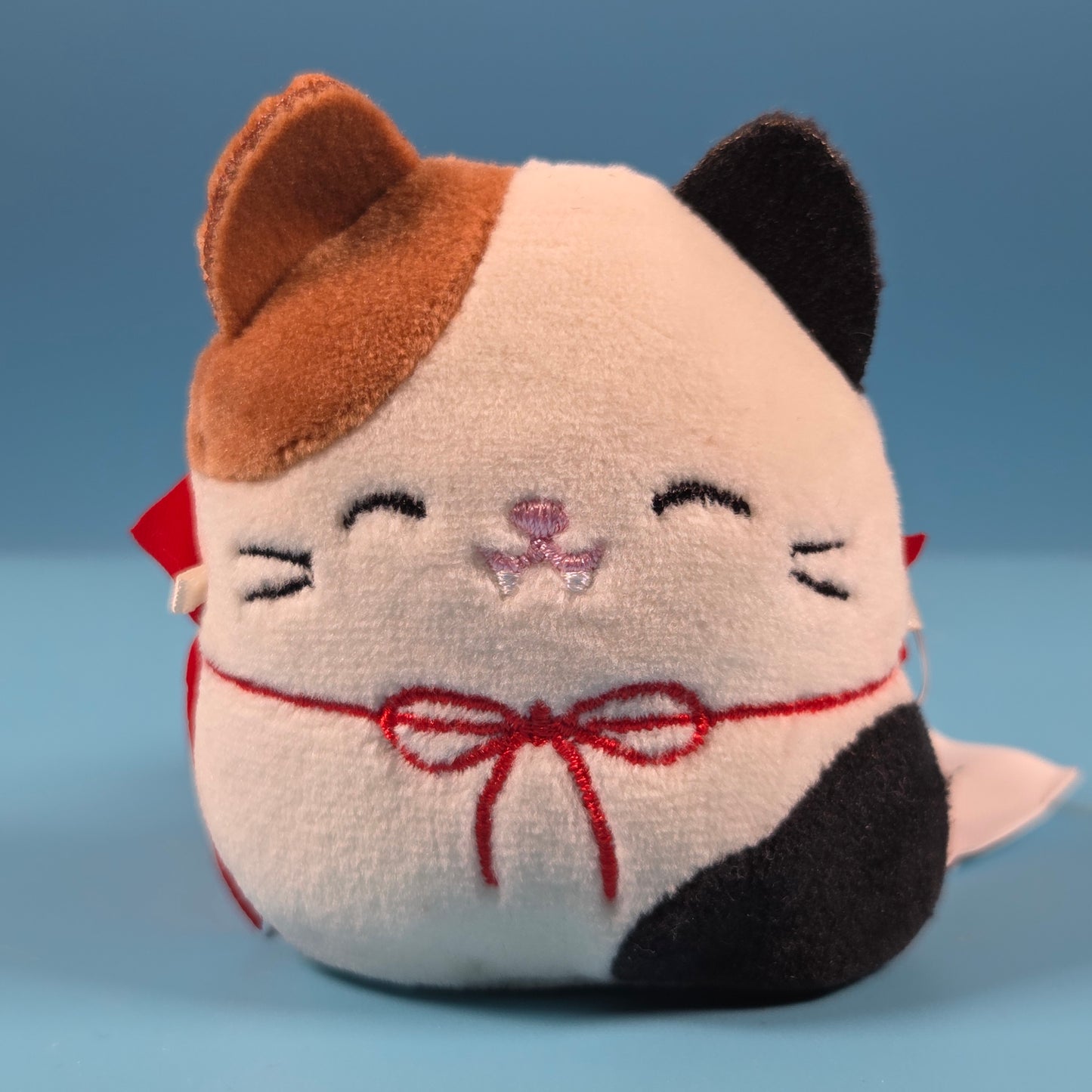 Squishmallows Micromallows Halloween Countdown - Cam