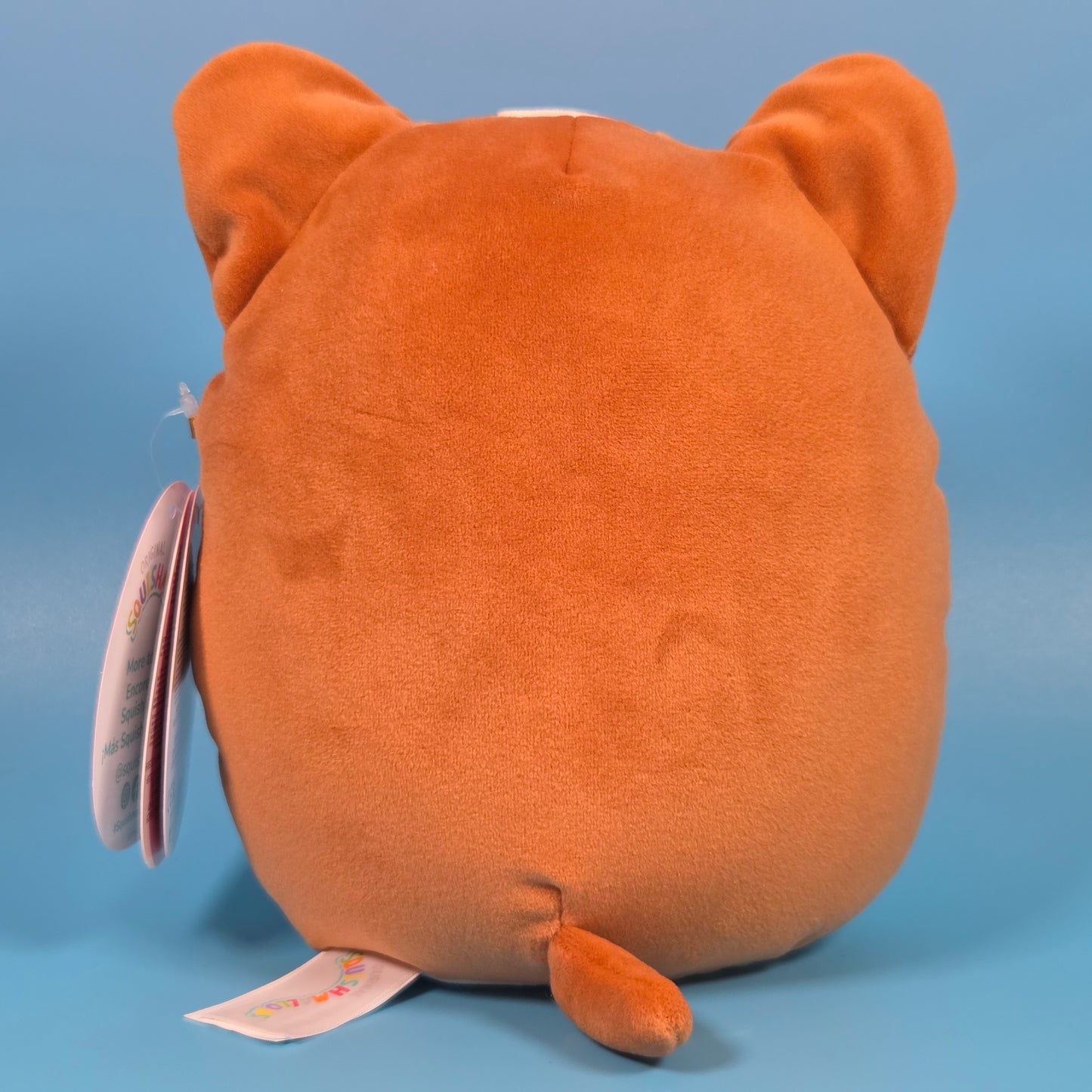 Squishmallows Valentine’s Day Plush 2026 - Reginald (Corgi)