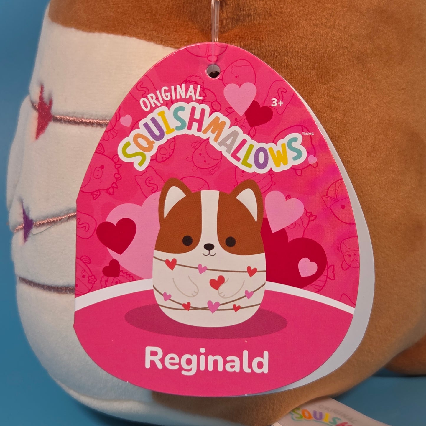 Squishmallows Valentine’s Day Plush 2026 - Reginald (Corgi)